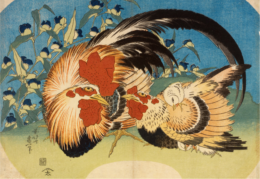 露草に鶏