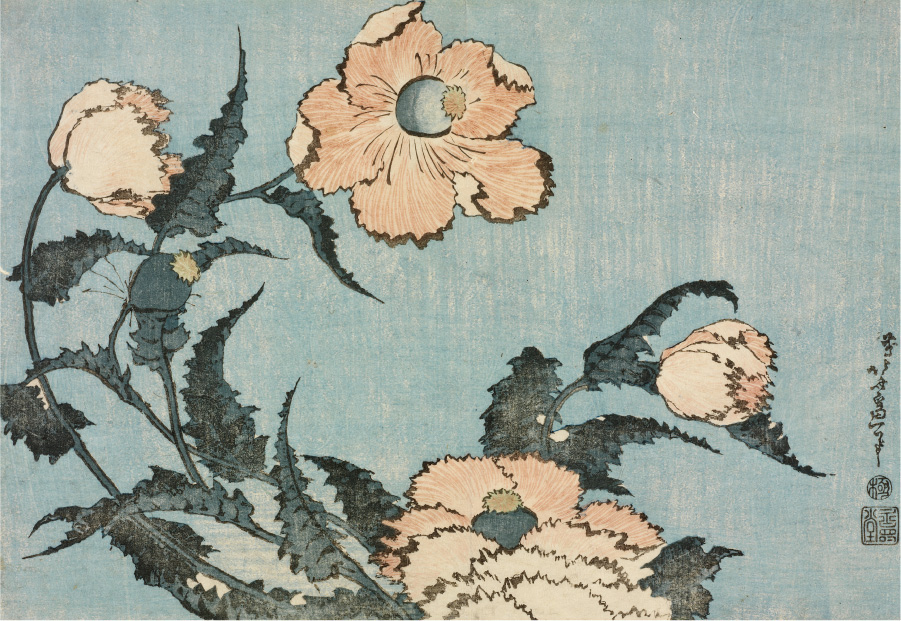 芥子