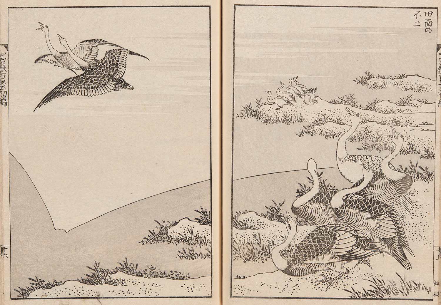 なんという目だ！北斎には、世界はどう見えていた？ | 小布施 北斎館