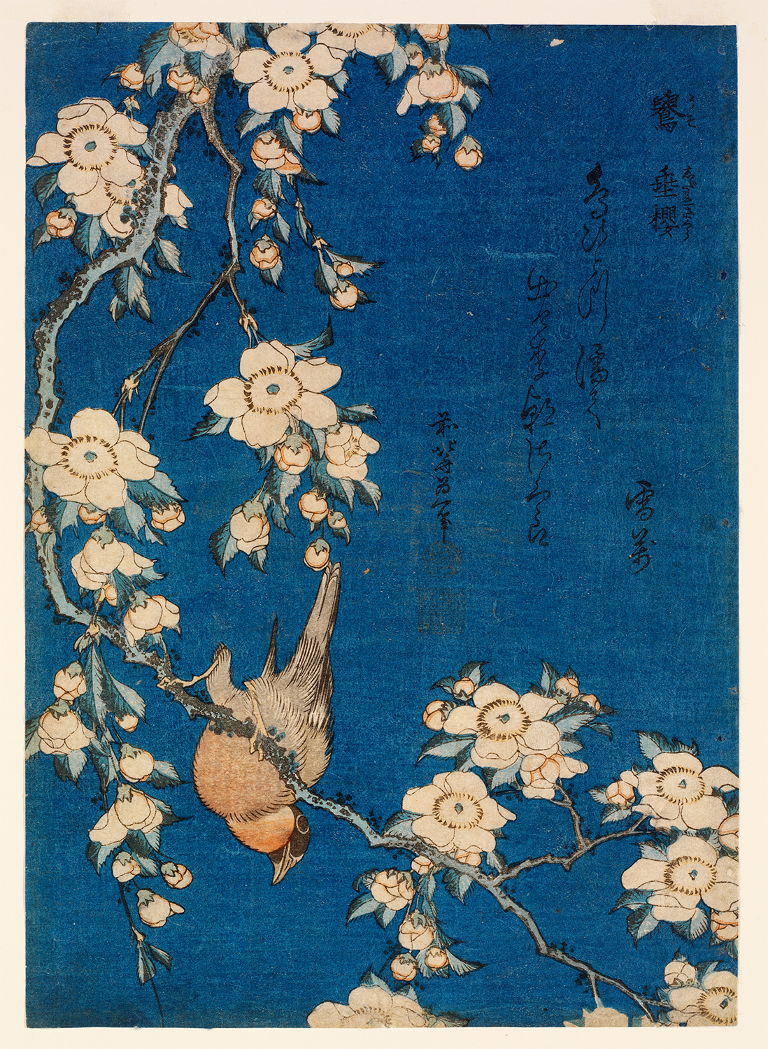 アビー・ロックフェラーが愛した 花鳥版画の世界 | 小布施 北斎館